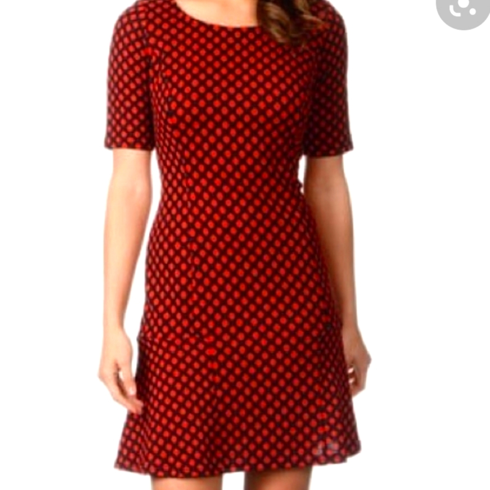 Lennie for Nina Leonard lovely dress